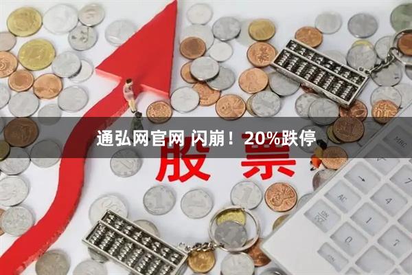 通弘网官网 闪崩！20%跌停