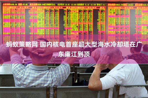 蚂蚁策略网 国内核电首座超大型海水冷却塔在广东廉江到顶