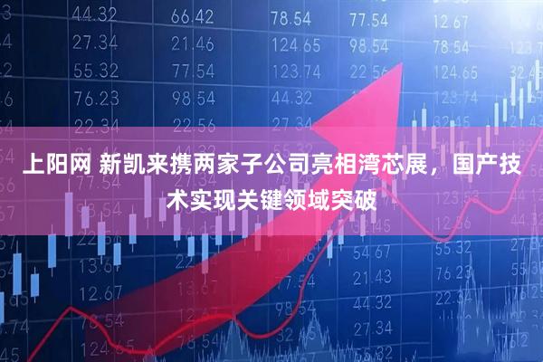 上阳网 新凯来携两家子公司亮相湾芯展，国产技术实现关键领域突破